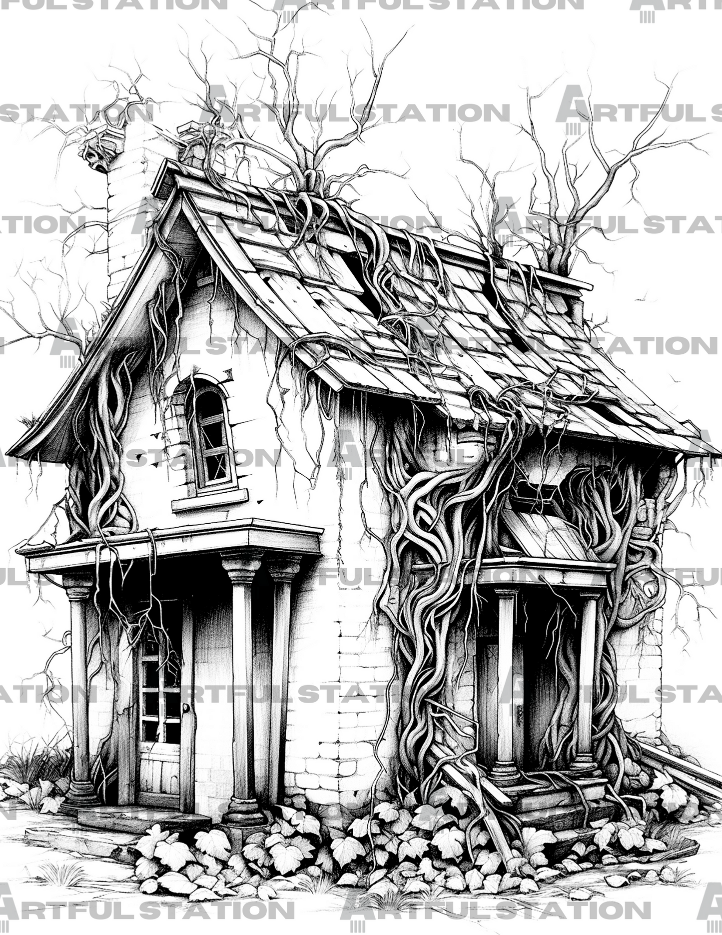 Haunted Mansions Adult Coloring Book